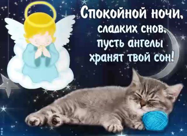 Сладких добрых снов