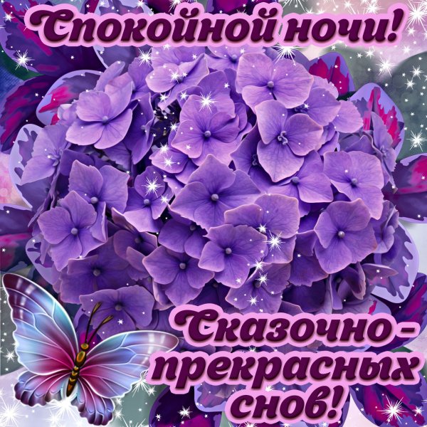 Пожелания спокойной ночи