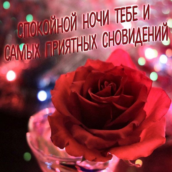 Спокойной ночи приятных снов