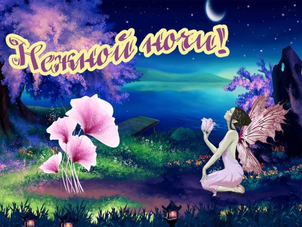 Нежных сказочных снов