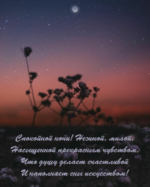 Спокойной ночи нежно