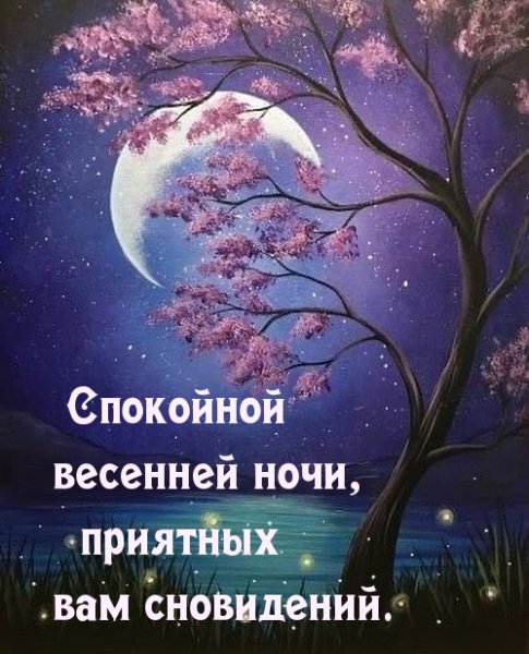 Спокойной ночи весенней ночи