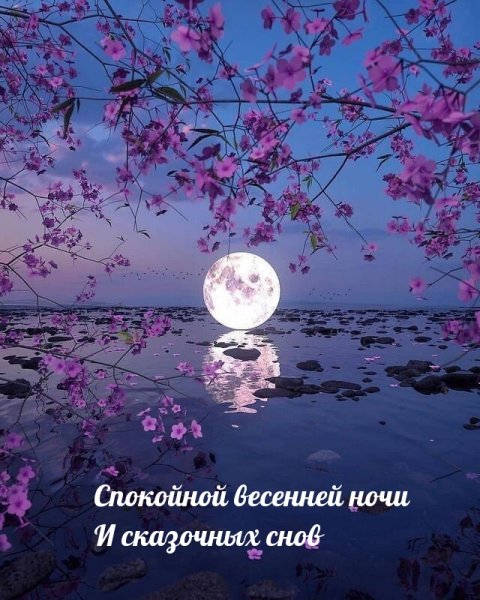Спокойной ночи вечнние