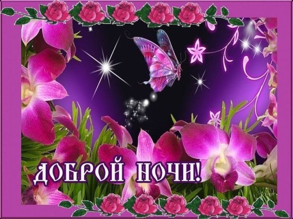 Открытки спокойной ночи до завтра
