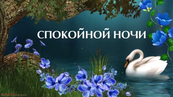 Спокойной ночи до завтра