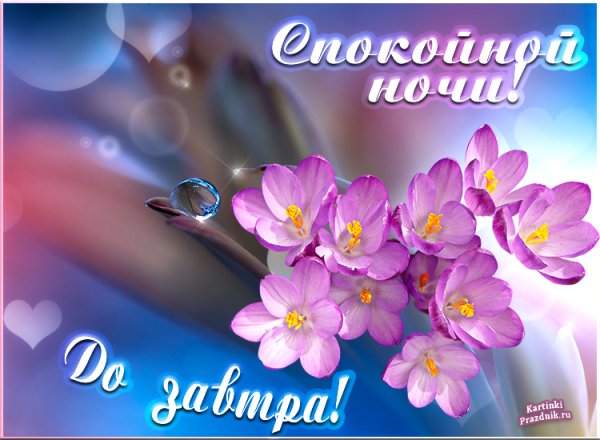 Спокойной весенней ночи