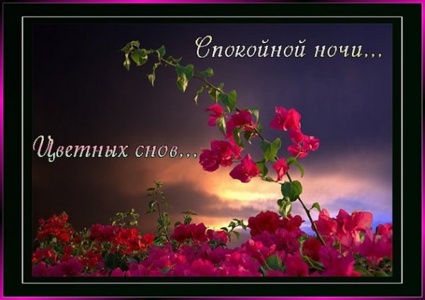 Доброй весенней ночи