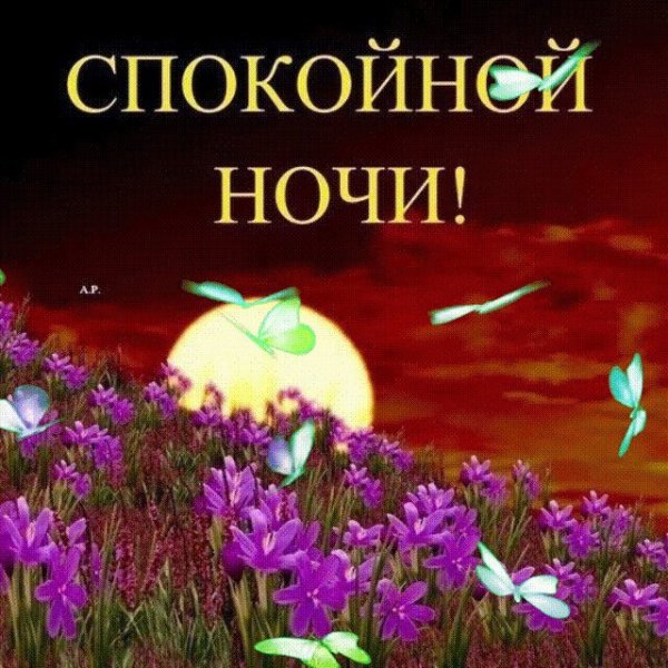 Спокойной ночи Весна