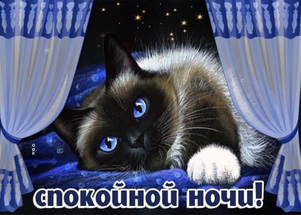 Добрый вечер сладких снов