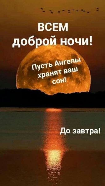 Позитивные цитаты на ночь