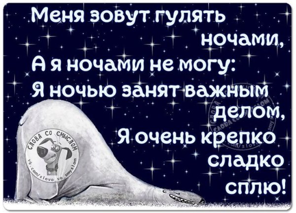 Статусы про ночь со смыслом