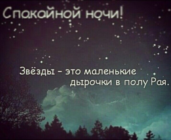 Спокойной ночи фразы