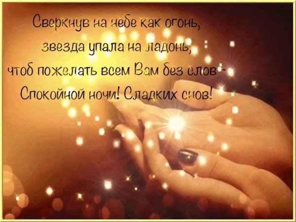 Спокойной ночи цитаты