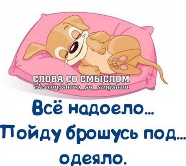 Прикольные фразы про сон