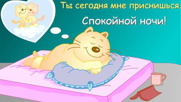 Спокойной ночи любимая