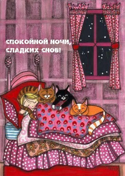 Уютные иллюстрации с кошками