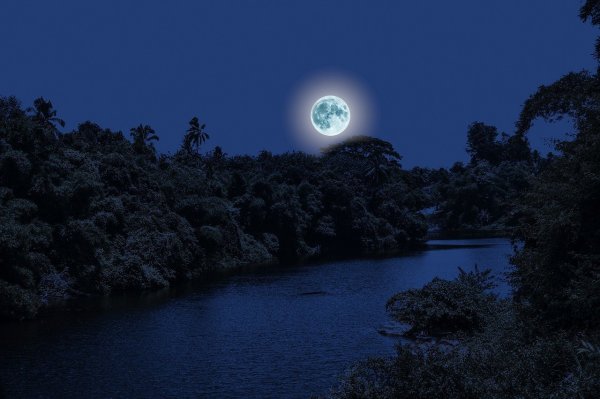 Луна ночь картинки (47 фото)