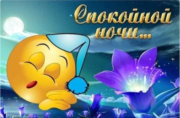 Доброй ночи летом