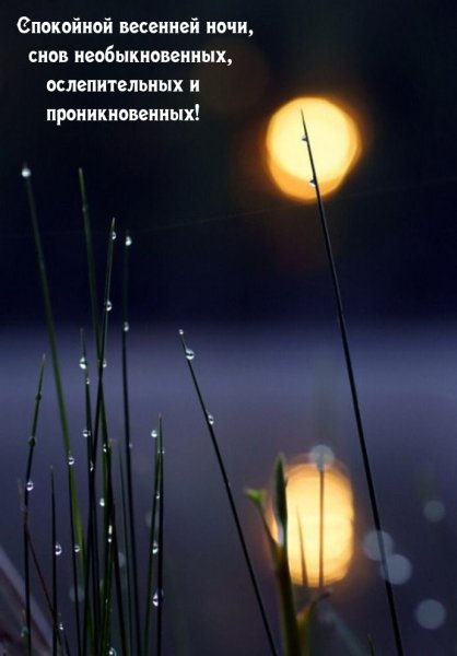Спокойной ночи весенней ночи