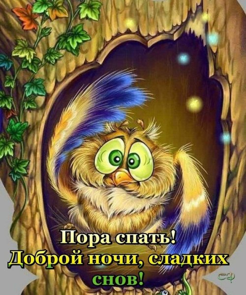 Владимир Аржевитин Совы