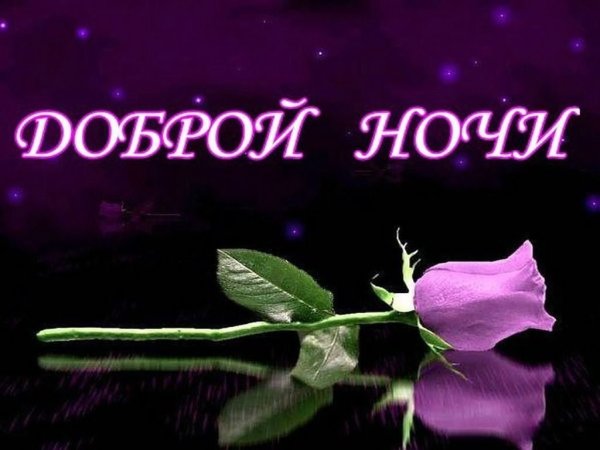 Спокойной ночи