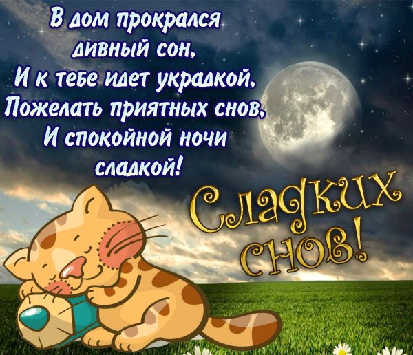 Пожелания спокойной ночи