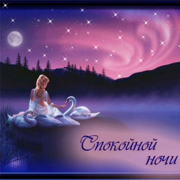 Спокойной ночи Дарина