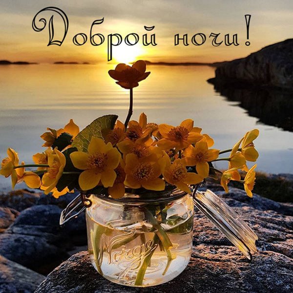 Чудесного летнего вечера