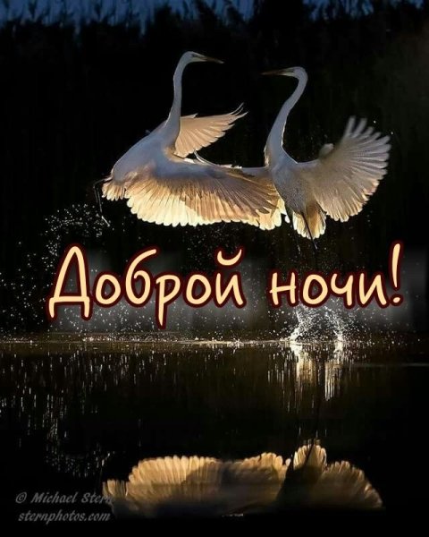 Доброй ночи