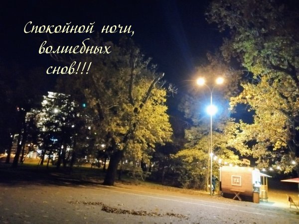 Спокойной ночи город