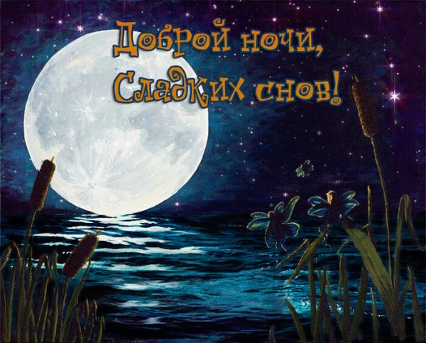 Доброй летней ночи