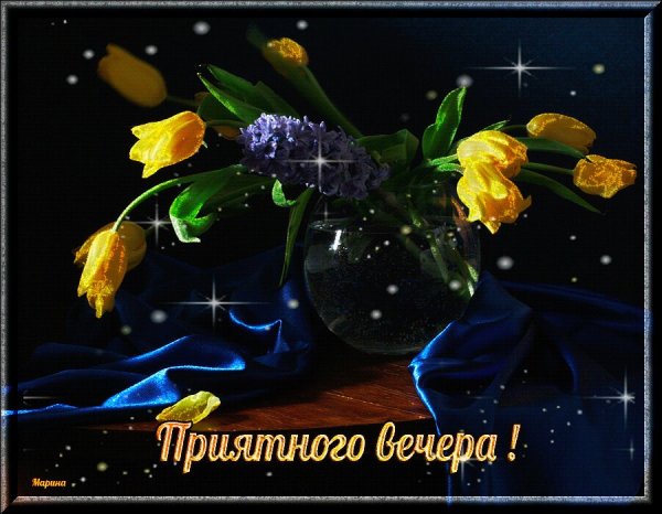 Доброго вечера и ночи