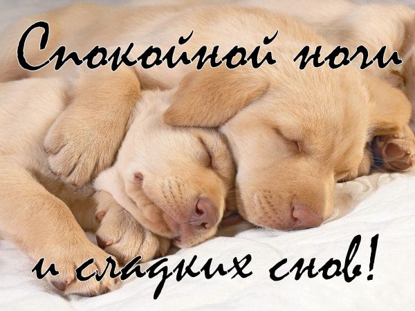 Спокойно ночи сладких снов