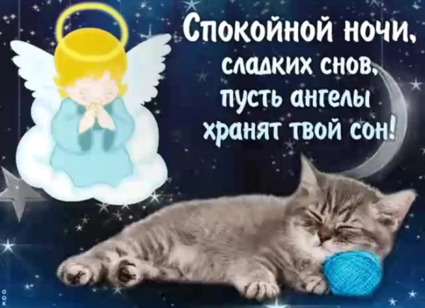 Спокойной ночи сладких снов