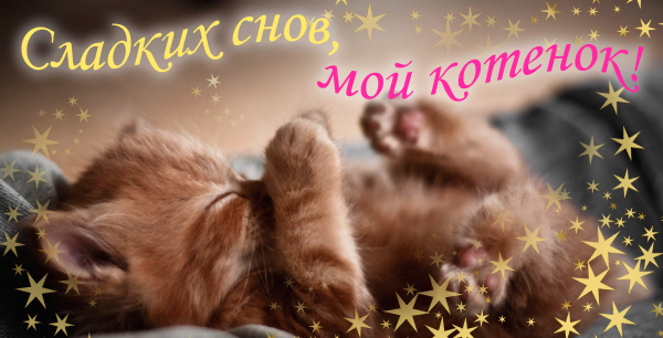Приятной ночи девушке