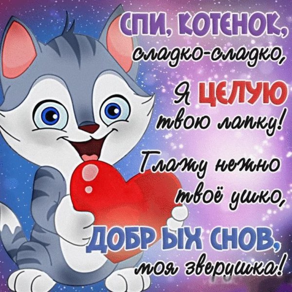 Спокойной ночи любимая