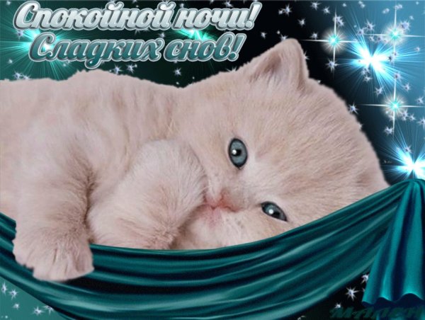 Пожелания спокойной ночи