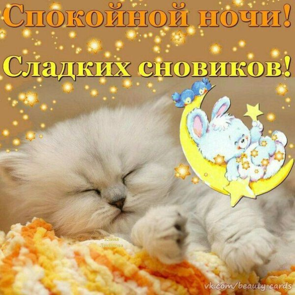 Спокойной ночи сладких снов