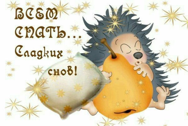 Сладких снов Ежик