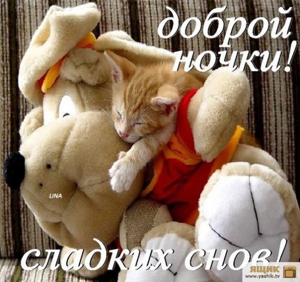 Спокойной ночи милая