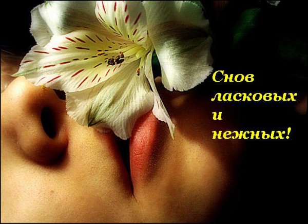 Сладких нежных снов