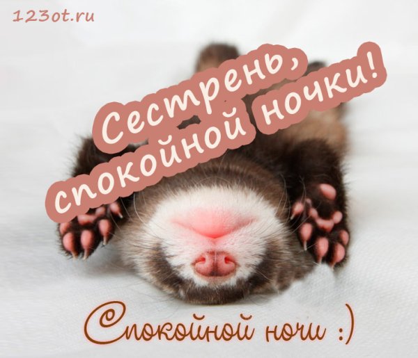 Спокойной ночи сестреночка