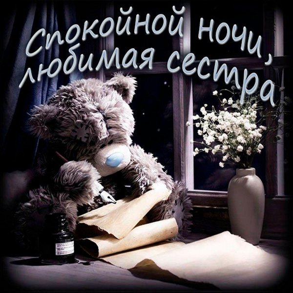 Спокойной ночи сестренка