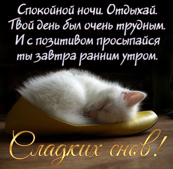 Спокойной ночи сестренка