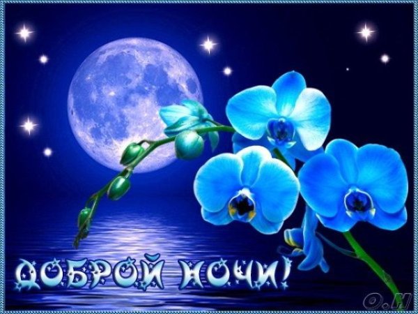 Фея желает спокойной ночи