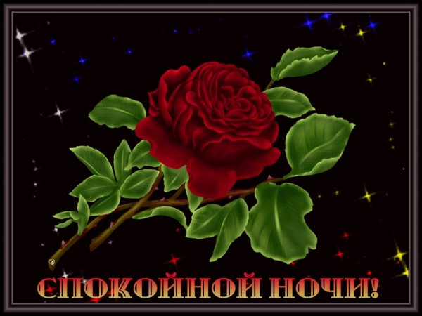Спокойной ночи гиф