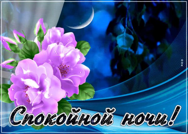 Спокойной ночи с цветами