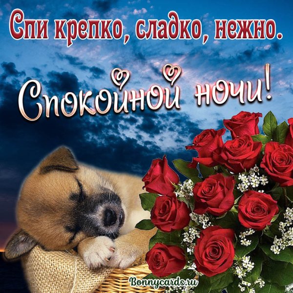Открытки спокойной ночи