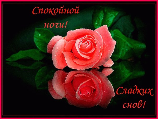 Спокойной ночи цветы