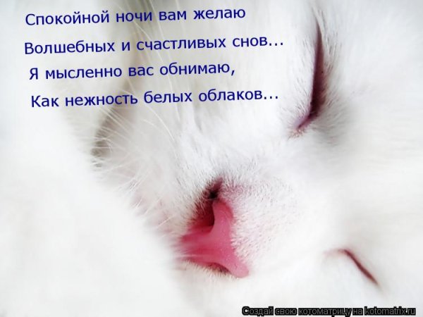 Спокойной ночи целую